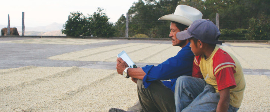FarmerWiPad_SustainableHarvestCoffeeImporters