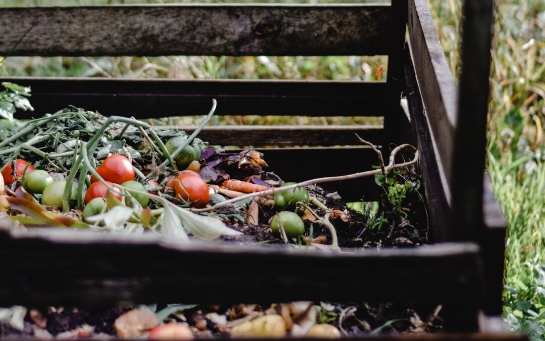 Composting For All: How One Local Organization Made Reusing Spent Coffee Grounds Simple