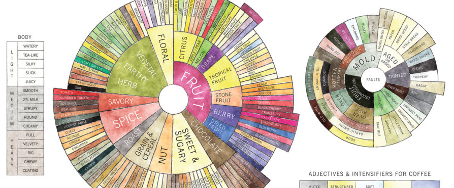 [pdf] Free Download Flavor Creation Book