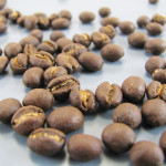 Part two: bean care.