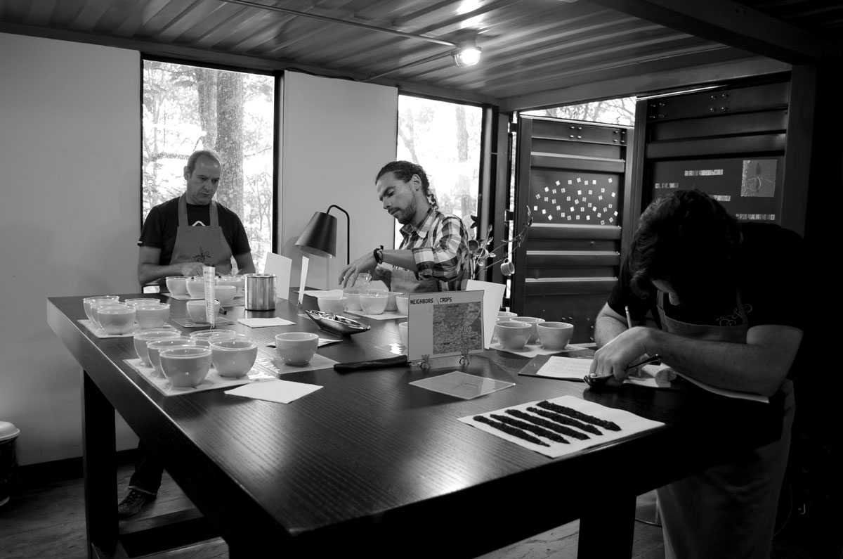 Cupping on the farm.