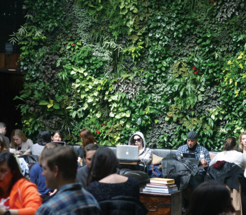 FoliageWall