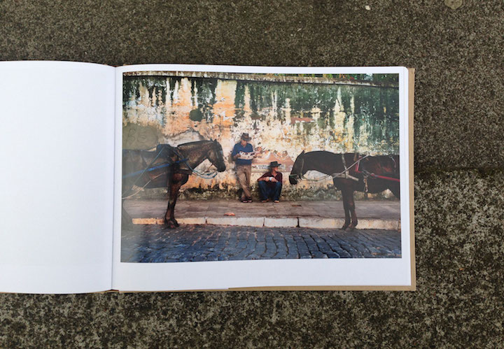 SteveMcCurryBookPic 2