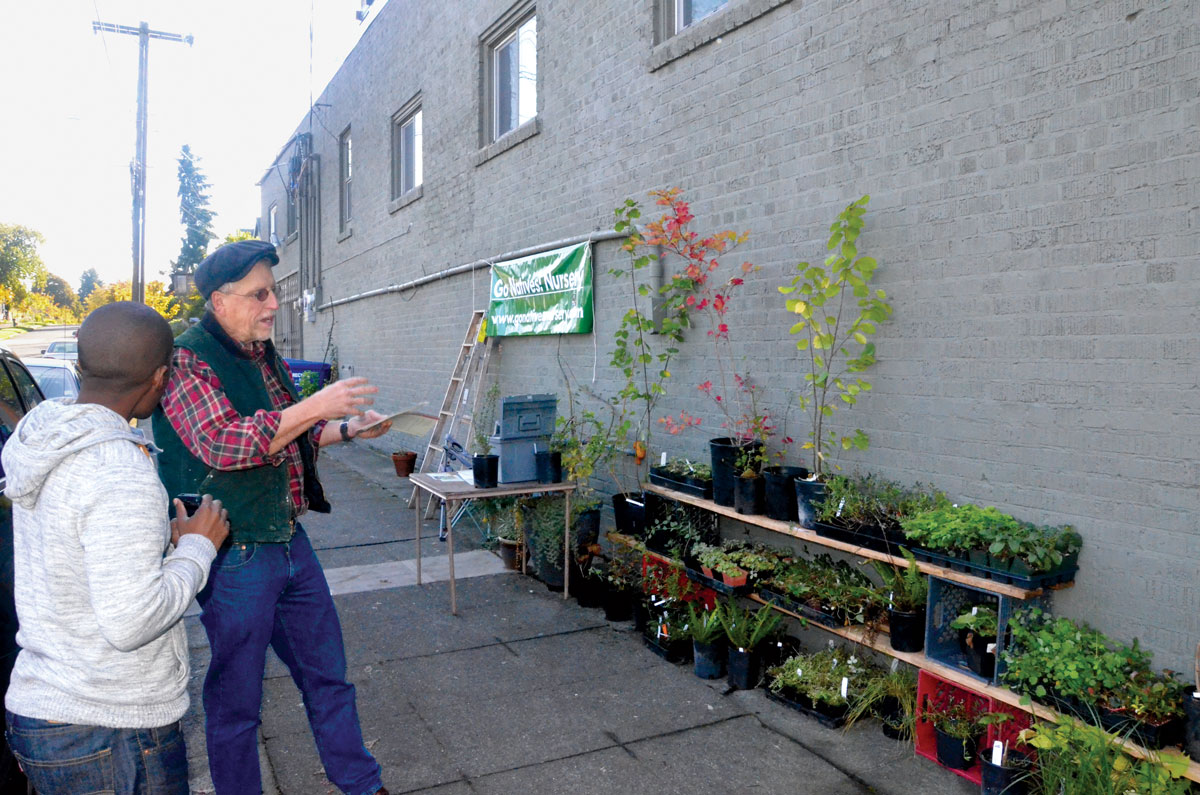 Tinumbrella_native-plant-sidewalksale