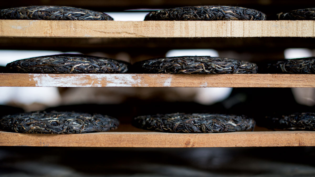 Aged pu-erh stored for sale.