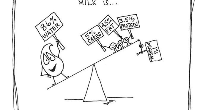 Milk: From Cow to Cup