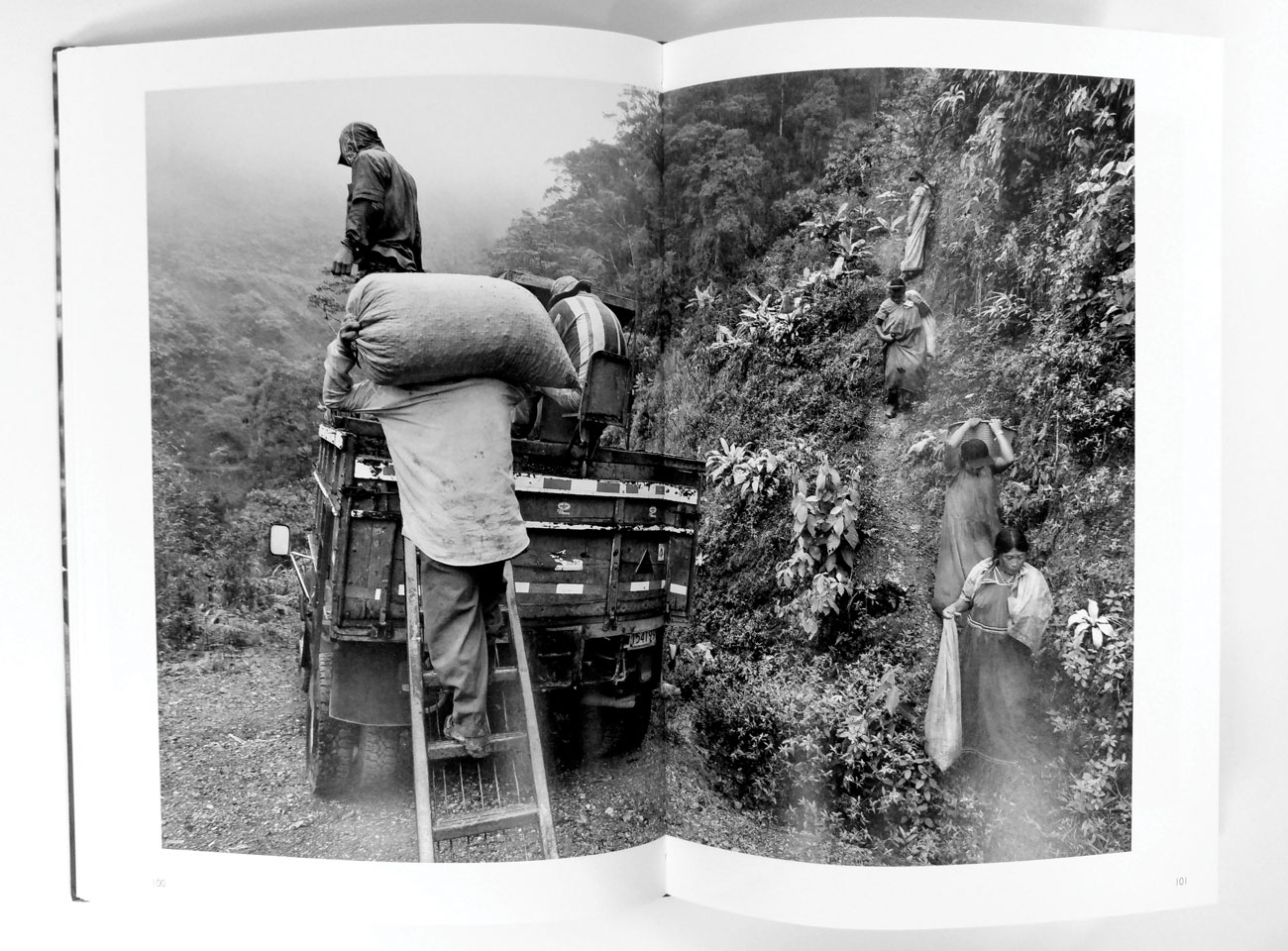 An image from Sebastião Salgado's book The Scent of a Dream. (Photo: Cory Eldridge.)