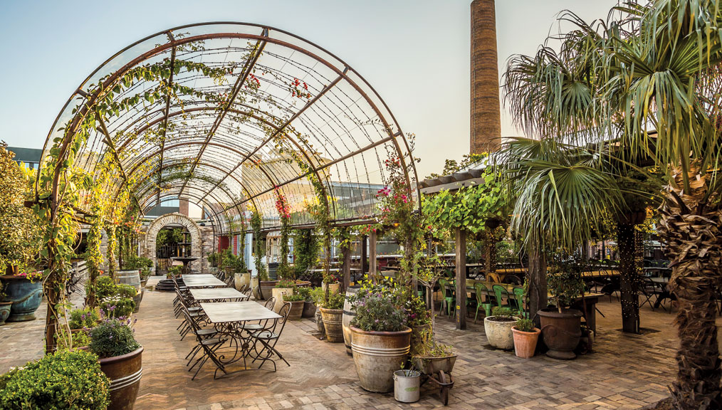 The Grounds Of Alexandria Fresh Cup