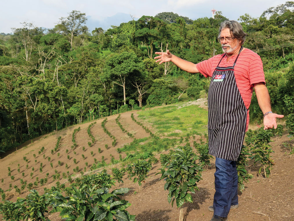 costa rica, coffee, specialty coffee, third-wave