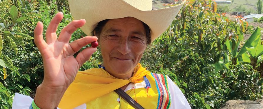 Café Femenino Foundation: Granting Hope in Peru