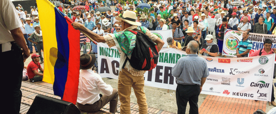Crisis Forces Colombia’s Coffee Farmers Fight for Living Wage