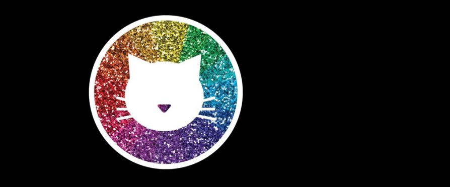 Glitter Cat Bootcamp 2020 Applications Now Open