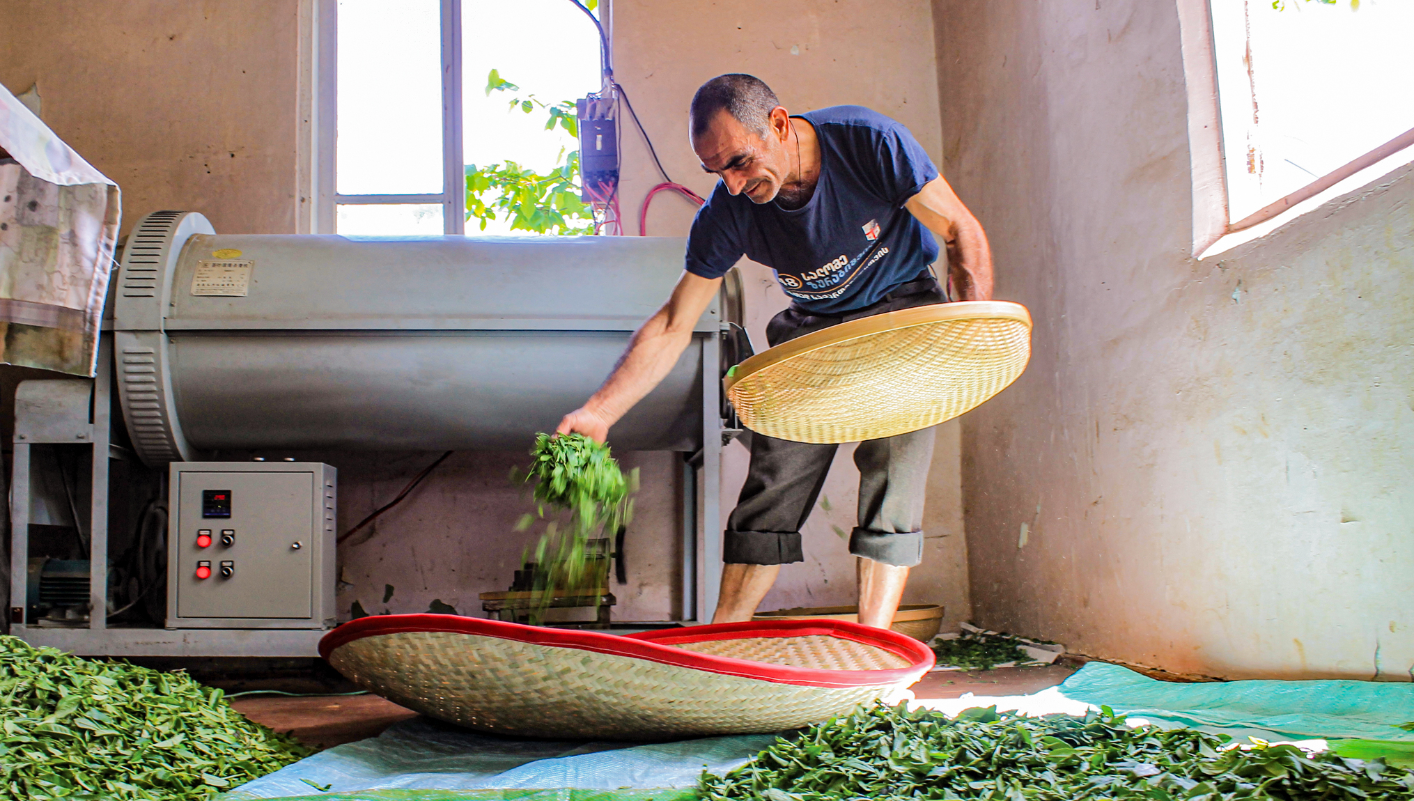 Back to Nature: On The Georgian Tea Revival
