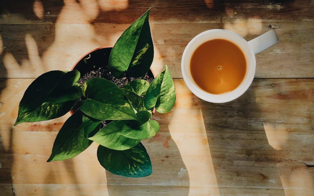 Reflecting on the Evolution of Chai in Coffeeshops